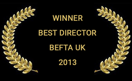 Festival award badge 9